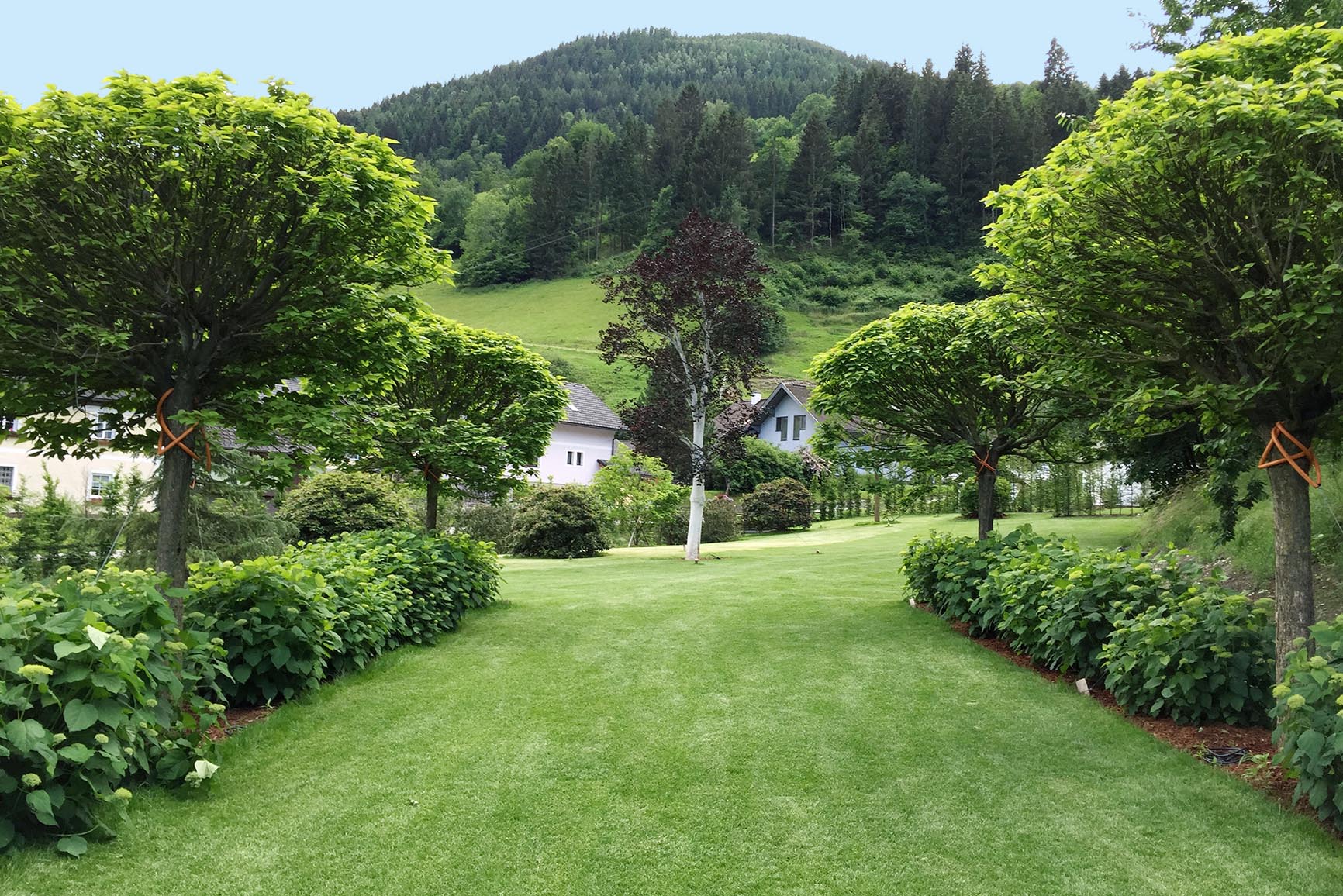 Großzügige Gartenplanung eines Garten in Niederösterreich